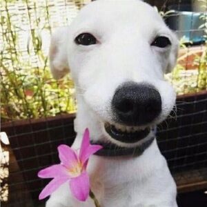 Meet your Posher, Karla